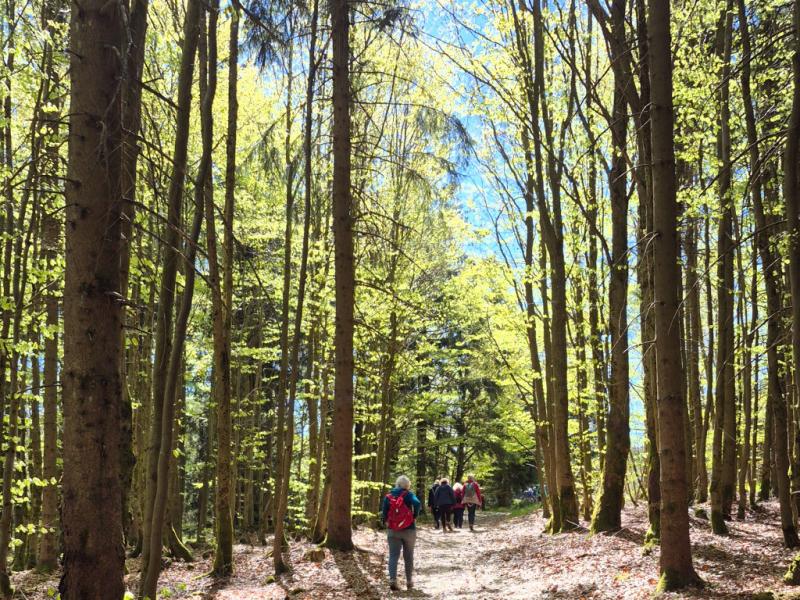 Wanderung am 1. Mai 2026